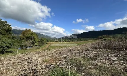 Amplos terrenos à venda em picada café, na serra gaúcha