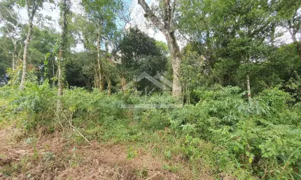 Amplo terreno à venda em nova petrópolis, na serra gaúcha