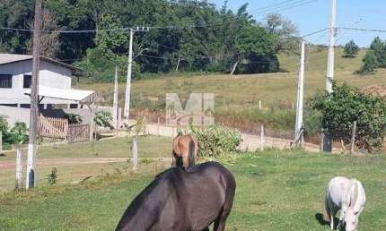Chácara / sítio com 4 quartos à venda na Rua Oscar Pereira, 75, Centro, Barra Velha