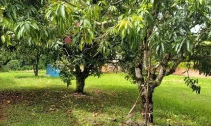 Chácara à Venda no Condomínio Monte Alto em Limeira