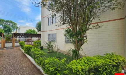 Apartamento à Venda - Condomínio Vila Romi, Santa Bárbara d'Oeste