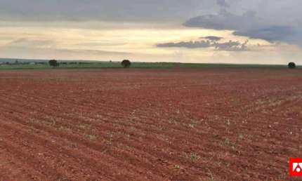 Terreno Rural à Venda em Nova Odessa - 8.547 Alqueires.