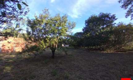 Chácara à venda no Cruzeiro do Sul em Santa Bárbara d'Oeste.