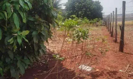 Terreno à venda no terras de santa bárbara, em santa bárbara d'oeste