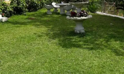 Fazenda com 7 salas à venda no Muribara, São Lourenço da Mata 