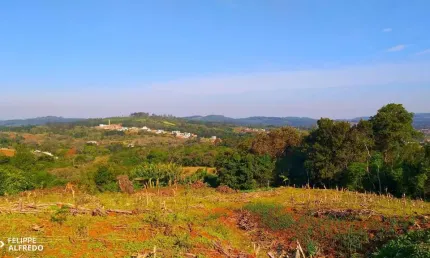 Terreno à venda, 674 m² por R$ 265.000,00 - Vale Esquerdo - Dois Irmãos/RS