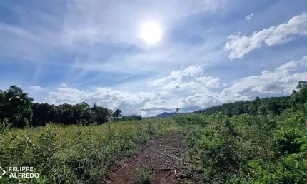 Terreno comercial à venda na Rua A, S N, São Jacó, Sapiranga