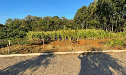 Terreno à venda na Rua Das Broméllias, 02, São João, Dois Irmãos