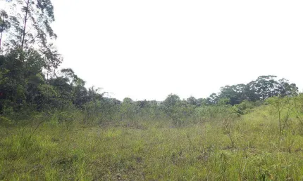 Terreno à venda, 23555 m² por R$ 17.000.000,00 - Cooperativa - São Bernardo do Campo/SP