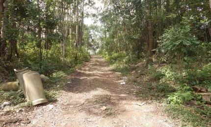 Terreno à venda, 48400 m² por R$ 35.912.800,00 - Cooperativa - São Bernardo do Campo/SP