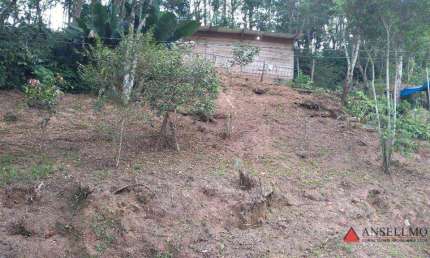 Terreno à venda, 1000 m² por R$ 200.000,00 - Cidade Recreio da Borda do Campo - Santo André/SP