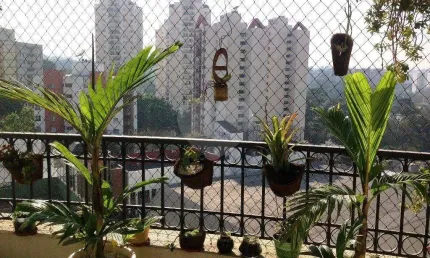 Apartamento com 3 quartos à venda em vila sofia - sp