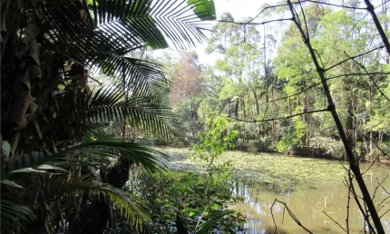 Terreno em condomínio fechado à venda na Rua Visconde de Porto Seguro, Chácara Flora, São Paulo