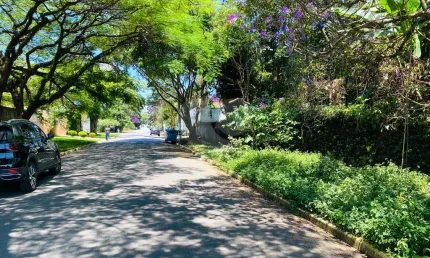 Terreno à venda na Willy Aureli, Interlagos, São Paulo