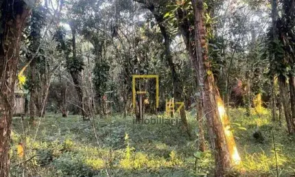 Terreno à venda, 1300 m² por r$ 375.000,00 - reserva da mata  - cananéia/sp
