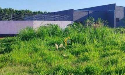 Terreno à venda, 360 m² por R$ 335.000,00 - São Bernardo IV - Mirassol/SP