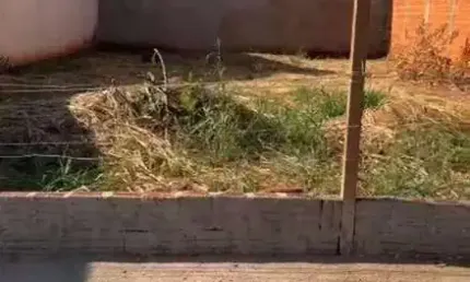 Terreno à venda, 200 m² por R$ 100.000 - Caetano II - São José do Rio Preto/SP