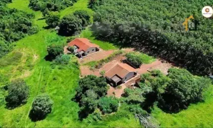 Fazenda à venda, 1210000 m² por R$ 12.500.000 - Rural - Votuporanga/SP