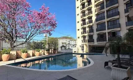 Apartamento  à venda, Jardim das Paineiras - Campinas/SP