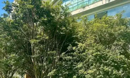 Cerqueira cesar apartamento a venda 3 suites 196m2 2 vagas novo pronto p morar