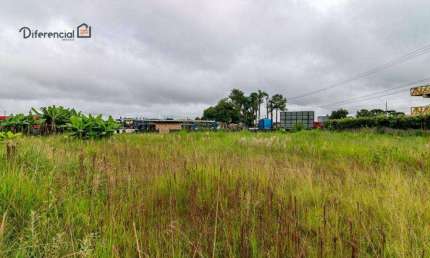 Terreno à venda, 2277 m² por R$ 1.250.000,00 - Borda Do Campo - São José dos Pinhais/PR