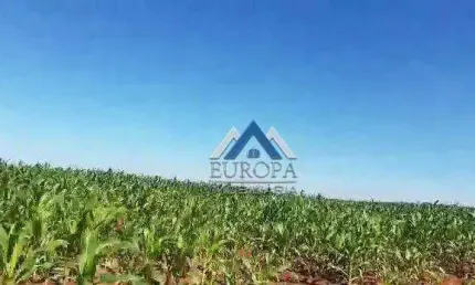 Fazenda à venda, 1495560 m² por R$ 26.000.000,00 - Rural - Bela Vista do Paraíso/PR