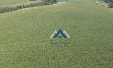 Fazenda à venda, 1815000 m² por R$ 23.100.000,00 - Rural - Leópolis/PR