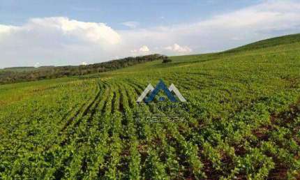 Fazenda à venda, 1258400 m² por R$ 20.500.000,00 - Rural - Alvorada do Sul/PR