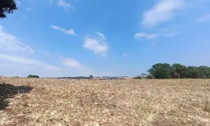Sítio com 3 dormitórios à venda, 140360 m² por R$ 3.100.000,00 - Lerroville - Londrina/PR
