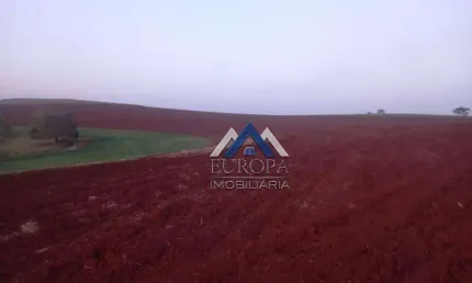 Fazenda com 3 dormitórios à venda, 1306800 m² por R$ 14.480.000,00 - Zona Rural - Cornélio Procópio/PR