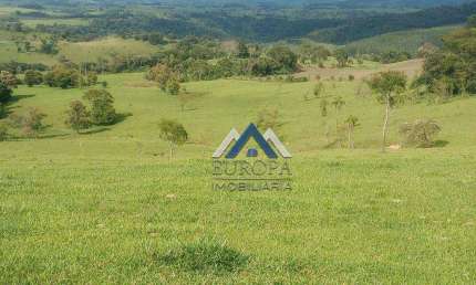 Fazenda à venda, 968000 m² por R$ 4.400.000,00 - Lambari - Sapopema/PR