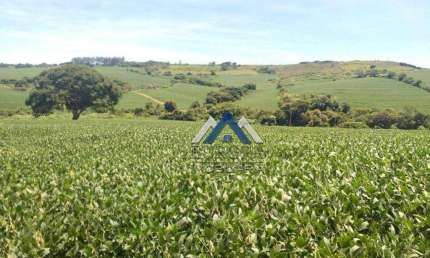 Fazenda à venda, 1694000 m² por R$ 22.000.000,00 - Rural - Sertanópolis/PR