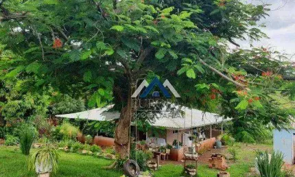 Chácara com 3 dormitórios à venda, 30000 m² por R$ 450.000,00 - Zona Rural - Assaí/PR
