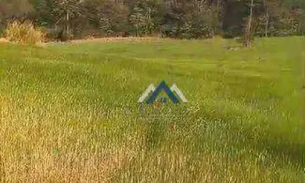 Sítio com 3 dormitórios à venda, 141473 m² por R$ 700.000,00 - Zona Rural - Tamarana/PR