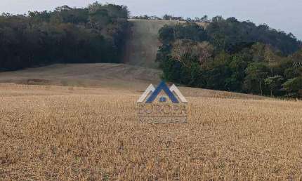 Fazenda com 5 dormitórios à venda, 5687000 m² por R$ 55.000.000,00 - Zona Rural - Congonhinhas/PR