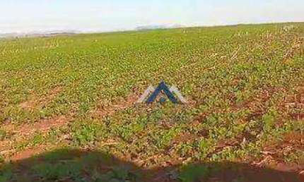 Fazenda à venda, 1210000 m² por R$ 11.500.000,00 - Rural - Bandeirantes/PR