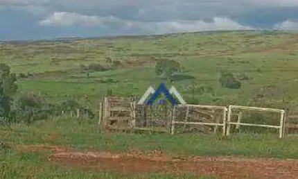 Fazenda com 5 dormitórios à venda, 3388000 m² por R$ 18.000.000,00 - Residencial Maria Gonçalves da Motta - Piraju/SP