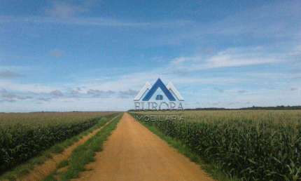 Fazenda com 6 dormitórios à venda, 159360000 m² por R$ 800.000.000,00 - Zona Rural - Nova Ubiratã/MT