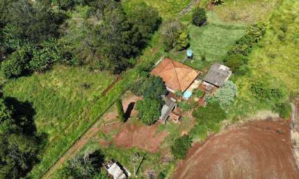 Chácara com 3 dormitórios à venda, 26000 m² por R$ 1.300.000,00 - Património Regina - Londrina/PR