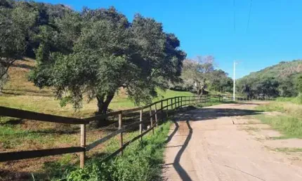 Terreno à venda, 13100 m² por R$ 1.200.000 - Porto do Carro - Cabo Frio/RJ