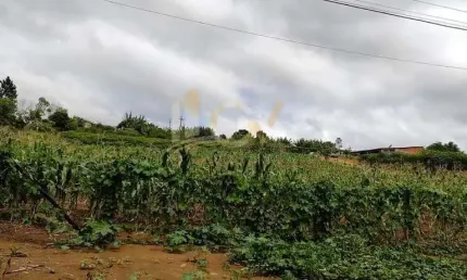 Chácara / sítio à venda no Centro, Pilar do Sul 