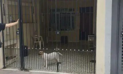 Casa com 2 quartos para alugar na Rua Azevedo Soares, 1739, Tatuapé, São Paulo