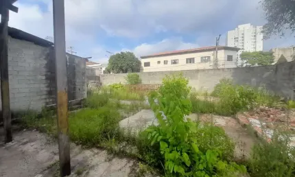 Terreno comercial para alugar na Rua José do Patrocínio, 101, Centro, São Caetano do Sul, 440 m2 por R$ 6.000