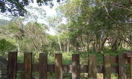 Terreno à venda na das Gralhas, 209, Vargem Grande, Florianópolis, 630 m2 por R$ 300.000