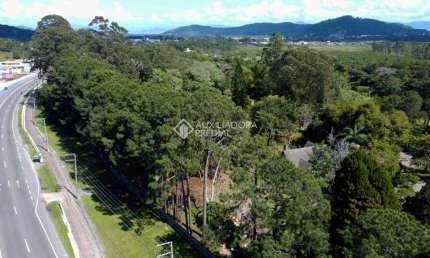 Terreno à venda na Rodovia Armando Calil Bulos, 177, Ingleses do Rio Vermelho, Florianópolis, 33044 m2 por R$ 21.300.000