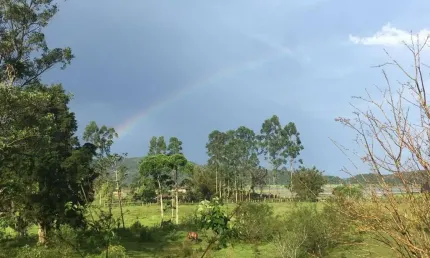 Fazenda à venda na Barreiros, 011, Rio d'Una, Imaruí, 149421 m2 por R$ 800.000