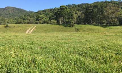 Fazenda à venda na Geral Forquilha Rio Duna, s/n, 13, Centro, Imaruí, 340000 m2 por R$ 1.908.000