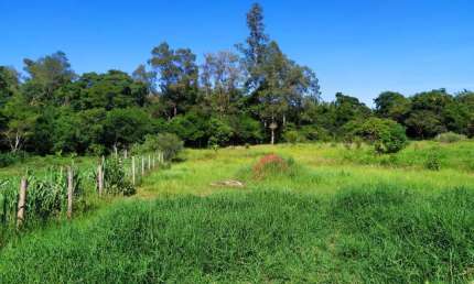Terreno / Chácara à venda, 2000 m² por R$ 243.000,00 - Novo Aeroporto - Londrina/PR