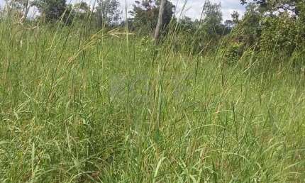 Fazenda à venda na Lagoa do Tocantis, 1, Setor Central, Lagoa do Tocantins, 1565 m2 por R$ 10.675.000