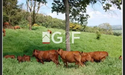 Fazenda à venda na Estrada Velha Mogi Mirim Pará Itapira, S/N, Área Rural de Itapira, Itapira, 150 m2 por R$ 60.000.000